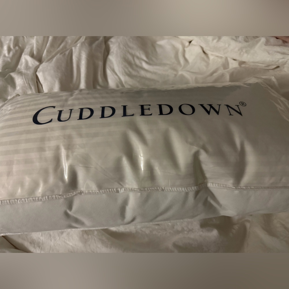 CUDDLEDOWN 800 Fill Power Goose Down Damask Stripe Pillow Medium Densi - Picture 5 of 9